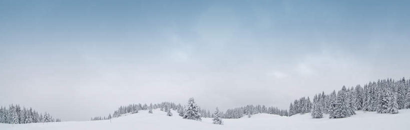 无人,横图,室外,白天,正面,旅游,度假,北极,美景,森林,树林,雪,植物,大雪,积雪,景观,雪景,云,云朵,冬季,冬天,云彩,娱乐,树,树木,蓝色,绿色,白云,蓝天,天空,自然,天,享受,休闲,景色,放松,寒冷,生长,晴朗,成长,自然风光,严寒,北极地区,北极区,北极圈,晴空,彩图