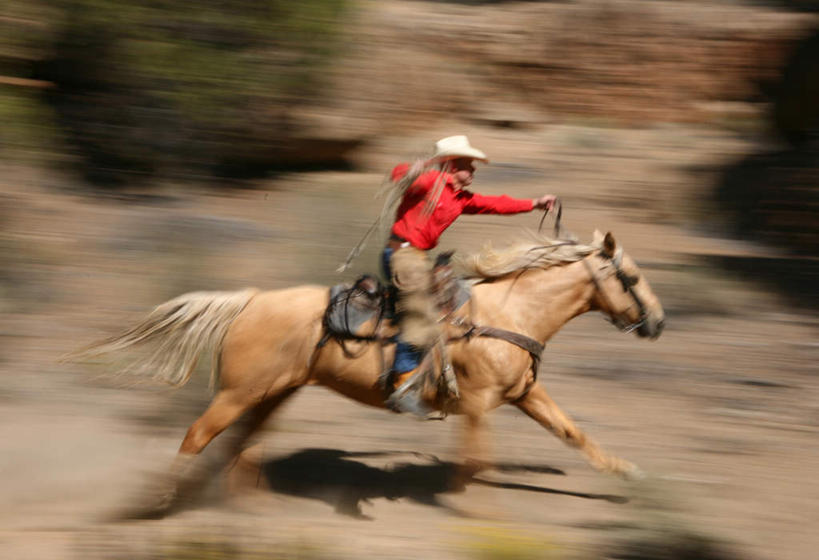 西方人,一个人,横图,室外,白天,侧面,山,山脉,植物,马,野生动物,帽子,欧洲,欧洲人,仅一个男性,仅一个人,奔驰,骑马,阴影,光线,影子,山峰,山峦,奔腾,一匹,树,树木,仅一个年轻男性,绿色,阳光,自然,动物,群山,奔跑,牛仔帽,运输,牲畜,生长,成长,飞驰,疾驰,男人,男性,年轻男性,白种人,彩图,全身