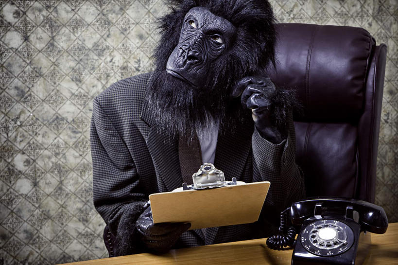 西方人,一个人,商务人士,商务男性,办公室,坐,打电话,横图,室内,白天,正面,衬衫,壁纸,桌子,野生动物,猩猩,电话,欧洲,欧洲人,仅一个男性,仅一个人,套装,材料,档案,面具,文件,办公桌,墙,领带,注视,通讯设备,墙壁,墙面,仅一个年轻男性,动物,话筒,资料,观察,看,电话线,活泼,观看,察看,关注,文档,商务装,工薪阶层,黄猩猩,交流,年轻男性,白种人,年轻人,白领,上班族,电话机,墙纸,红猩猩,红毛猩猩,沟通,通话,坐着,半身,彩图,衬衣
