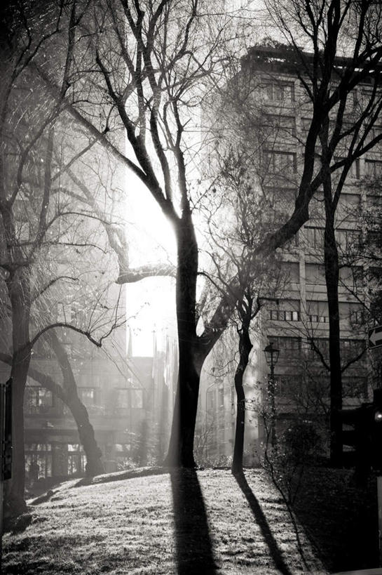 无人,家,竖图,黑白,室外,白天,正面,度假,美景,植物,城市风光,城市,道路,路,意大利,欧洲,阴影,光线,影子,房屋,屋子,景观,小路,交通,娱乐,楼房,住宅,树,树木,绿色,阳光,自然,享受,休闲,景色,放松,生长,成长,南欧,伦巴第大区,米兰,意大利共和国,首府,伦巴第,省会,米兰省,房子