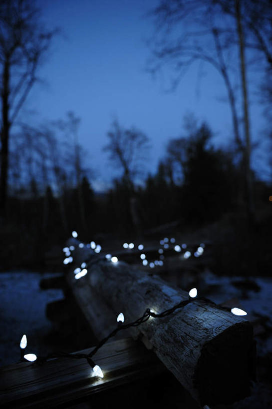 无人,竖图,彩色,室外,夜晚,正面,旅游,度假,河流,美景,森林,树林,水,植物,霓虹灯,阴影,朦胧,模糊,光线,影子,河水,景观,水流,灯光,七彩,娱乐,光源,霓虹,灯,树,树木,绿色,自然,享受,休闲,景色,放松,生长,成长,照明设备,自然风光,木排,木筏,氖灯,彩图