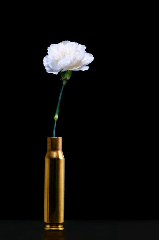 无人,竖图,室内,白天,正面,热情,康乃馨,静物,花瓶,黑色背景,盛开,祝福,花蕾,玻璃制品,花,花瓣,花朵,鲜花,白色,玻璃瓶,瓶子,花苞,花蕊,母爱,清纯,摄影,影棚,子弹,一支,卫生,亲情,和平,枪弹,纯真,思念,洁净,宽容,热恋,真挚,光明,恬静,中间色,朴素,清白,热心,麝香石竹,石竹,香石竹,彩图,影棚拍摄,拍摄,魅力
