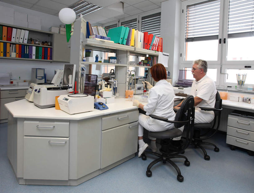 西方人,胡须,两个人,同事,科学家,办公室,坐,横图,室内,白天,工作服,制服,成功,合作,团队,集体,信心,柜子,桌子,欧洲,欧洲人,一排,阴影,整齐,光线,材料,档案,文件,眼镜,影子,办公桌,置物架,注视,队伍,架子,排列,背面,阳光,资料,橱柜,观察,看,血液,观看,察看,领导,成就,队列,关注,文档,献血,陈列架,合伙,领袖,近视眼镜,科学研究者,工作制服,搁架,老年男性,老年女性,男人,男性,女人,女性,白种人,胡子,络腮胡,科学工作者,坐着,彩图,全身,工作套服