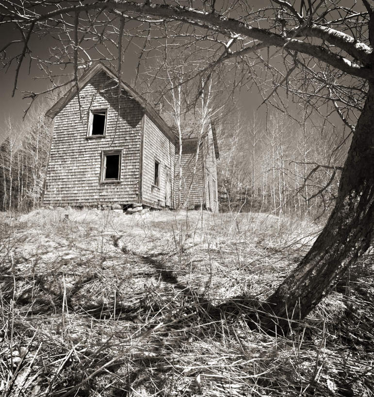 无人,家,竖图,黑白,室外,白天,仰视,度假,草地,草坪,美景,森林,树林,植物,城市风光,城市,加拿大,阴影,光线,影子,房屋,屋子,景观,云,云朵,枝条,云彩,娱乐,楼房,住宅,草,树,树木,树枝,绿色,白云,天空,天,享受,休闲,景色,放松,生长,成长,北美,北美洲,美洲,新斯科舍,北亚美利加洲,亚美利加洲,布雷顿角岛,新斯科舍省,虬枝,枝杈,低角度拍摄,房子