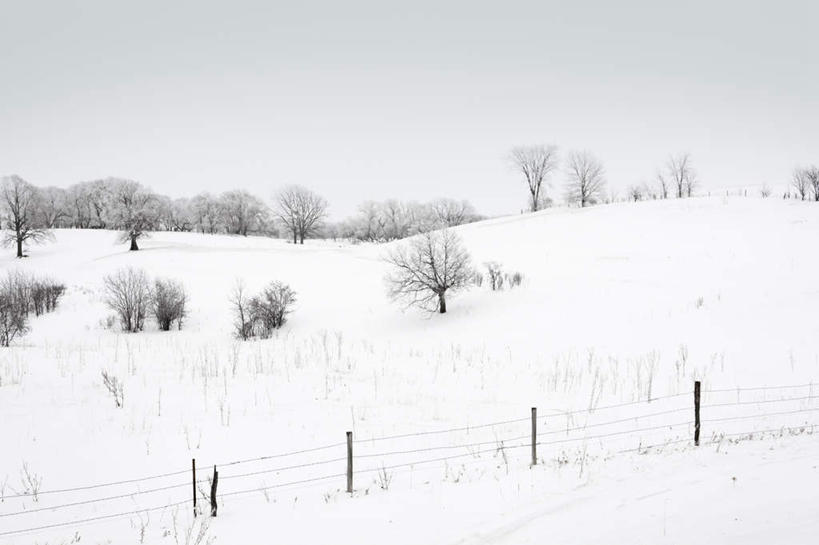 无人,栏杆,横图,室外,白天,正面,旅游,度假,美景,树林,雪,植物,大雪,美国,一排,朦胧,模糊,整齐,积雪,景观,雪景,冬季,冬天,围栏,娱乐,护栏,树,树木,排列,蓝色,绿色,蓝天,天空,自然,天,享受,休闲,景色,放松,寒冷,生长,晴朗,成长,北美,北美洲,队列,自然风光,美洲,万里无云,明尼苏达州,北亚美利加洲,亚美利加洲,严寒,明尼苏达,北星之州,晴空,晴空万里,彩图