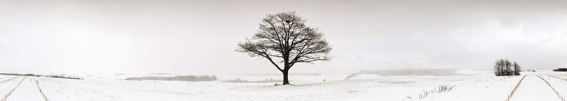 无人,横图,全景,室外,白天,正面,旅游,度假,美景,雪,植物,大雪,加拿大,一棵,积雪,景观,乌云,雪景,云,阴天,云朵,冬季,冬天,云彩,娱乐,树,树木,绿色,天空,自然,天,享受,休闲,景色,放松,寒冷,生长,成长,北美,北美洲,昏暗,阴沉,自然风光,美洲,新斯科舍,北亚美利加洲,亚美利加洲,严寒,新斯科舍省,孤苦,伶仃,孤单,孤独,彩图