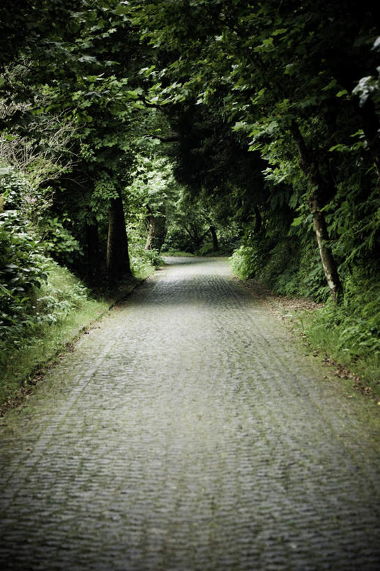 无人,竖图,室外,白天,正面,旅游,度假,美景,森林,树林,植物,道路,路,景观,小路,交通,娱乐,树,树木,绿色,自然,享受,休闲,景色,放松,茂密,乡间小路,茂盛,生长,成长,笔直,自然风光,延伸,笔挺,延长,亚速群岛,彩图