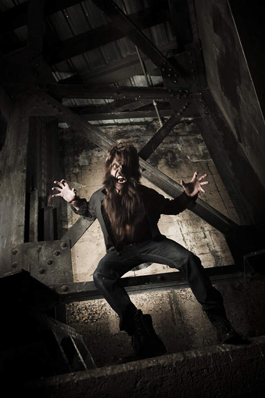 西方人,一个人,站,竖图,室内,白天,正面,哺乳动物,野生动物,狮子,欧洲,欧洲人,仅一个男性,仅一个人,节日,庆祝,钢铁,注视,文化,仅一个年轻男性,动物,观察,看,站着,庆典,万圣节,夸张,观看,纪念,察看,猛烈,关注,凶猛,凶悍,勇猛,厉害,夸大,残暴,凶残,男人,男性,年轻男性,白种人,站立,彩图,全身