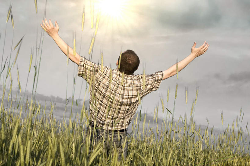 西方人,一个人,站,举,横图,室外,白天,欧洲,欧洲人,仅一个男性,仅一个人,阴影,光线,影子,狗尾巴草,仅一个年轻男性,背面,阳光,托,站着,狗尾草,绿狗尾草,谷莠子,男人,男性,年轻男性,白种人,举起,举手,举着,向上举,向上伸,向上托,站立,半身,彩图