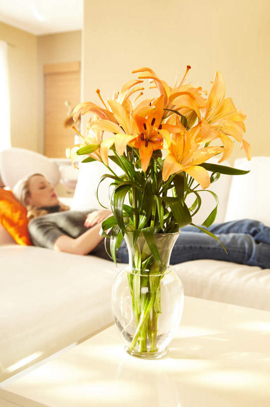 西方人,一个人,躺,闭眼,睡,竖图,室内,白天,侧面,靠垫,沙发,百合花,花瓶,欧洲,欧洲人,仅一个年轻女性,仅一个女性,仅一个人,服装,盛开,墙,靠枕,花蕾,休闲装,墙壁,墙面,玻璃制品,花,花瓣,花朵,鲜花,衣服,玻璃瓶,瓶子,抱枕,枕头,花苞,花蕊,休闲,休闲服,抱胸,服饰,布艺沙发,强瞿,卧着,百合蒜,倒仙,番韭,山丹,年轻女性,女人,女性,白种人,闭眼睛,闭着眼,闭着眼睛,困,困觉,寝息,睡觉,躺着,卧,半身,彩图