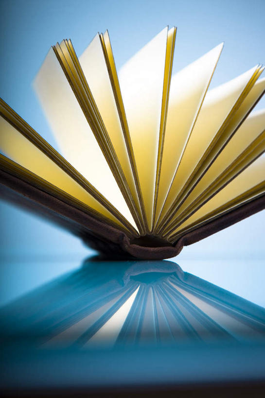 无人,竖图,室内,白天,白色背景,正面,看书,阅读,书籍,一本,学习,阴影,光线,影子,灯光,黄色,书本,看,读书,浏览,摄影,影棚,书,图书,彩图,影棚拍摄,拍摄