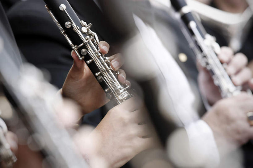 西方人,站,竖图,室内,特写,白天,正面,欧洲,欧洲人,握,阴影,朦胧,模糊,光线,影子,灯光,吹奏乐器,单簧管,黑管,乐器,木管乐器,许多人,拿,拿着,站着,一群人,握着,木管,克拉管,乌木棒,男人,男性,年轻男性,年轻女性,女人,女性,白种人,站立,半身,彩图