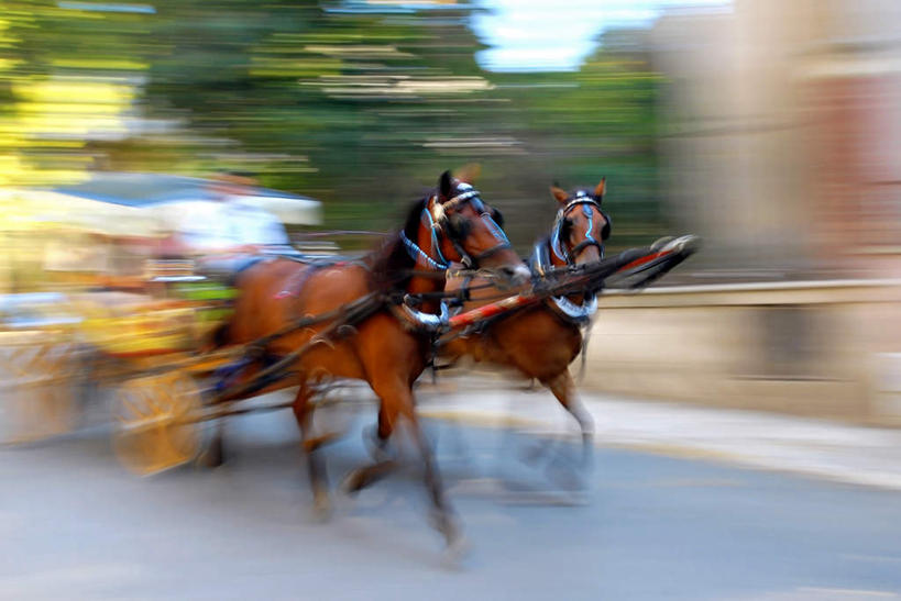 西方人,一个人,坐,跑,横图,室外,白天,正面,锻炼,运动,植物,马,野生动物,欧洲,欧洲人,仅一个男性,仅一个人,阴影,朦胧,模糊,光线,影子,云,云朵,云彩,树,树木,仅一个年轻男性,蓝色,绿色,白云,蓝天,天空,阳光,自然,动物,天,运输,牲畜,生长,晴朗,成长,两匹,飞奔,飞驰,体育,男人,男性,年轻男性,白种人,晴空,跑步,坐着,彩图,全身,健身