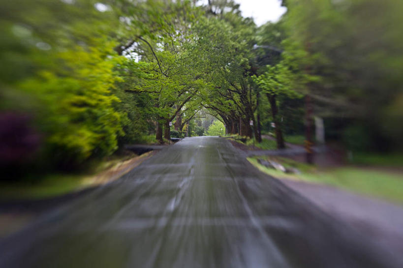 无人,横图,室外,白天,正面,旅游,度假,草地,草坪,美景,树林,植物,道路,路,美国,朦胧,模糊,景观,小路,交通,娱乐,草,树,树木,蓝色,绿色,蓝天,天空,自然,天,享受,休闲,景色,放松,生长,成长,北美,北美洲,加利福尼亚,自然风光,美洲,加州,加利福尼亚州,金州,黄金州,北亚美利加洲,亚美利加洲,马林县,马路,彩图