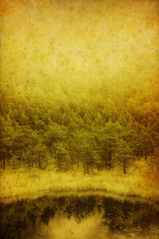 无人,竖图,俯视,室外,白天,旅游,度假,草地,草坪,湖,湖泊,美景,森林,树林,水,植物,雾,松树,叶子,欧洲,罗马尼亚,阴影,波纹,朦胧,模糊,透明,光线,影子,湖面,景观,水流,水面,枯叶,落叶,涟漪,辉煌,娱乐,草,树,树木,黄色,绿色,水纹,阳光,自然,波浪,湖水,享受,休闲,健康,景色,放松,活泼,生长,成长,希望,暖色,迷雾,自然风光,坚定,光辉,东欧,水晕,长寿,贞洁,光明,功名,轻快,特兰西瓦尼亚,叶,叶片,大雾,彩图,高角度拍摄