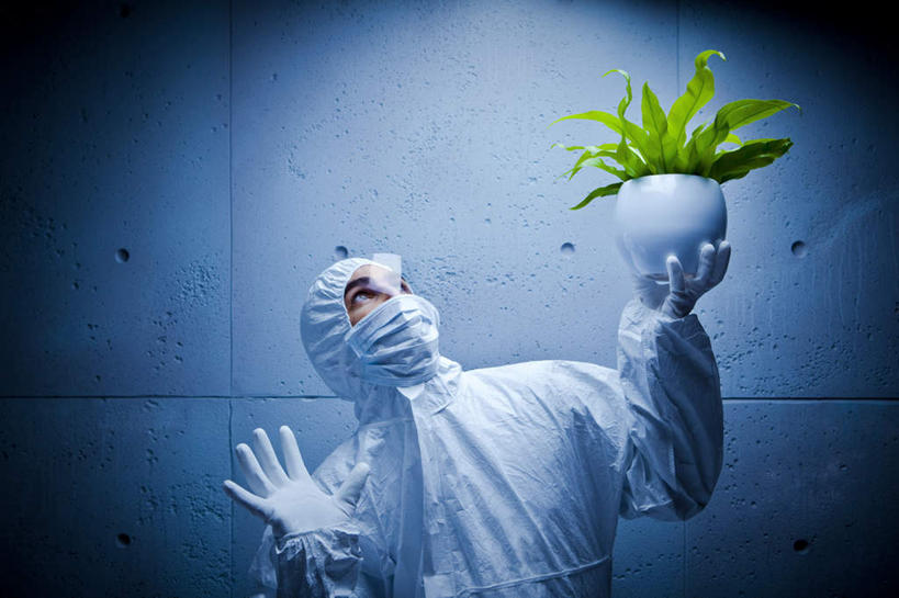 西方人,一个人,科学家,站,举,捧,横图,室内,白天,正面,工作服,制服,安全,实验,植物,帽子,欧洲,欧洲人,仅一个男性,仅一个人,戴,阴影,研究,透明,光线,科学,盆栽,头盔,影子,墙,灯光,防护,盆景,注视,墙壁,墙面,仅一个年轻男性,蓝色,绿色,自然,安全帽,手套,观察,看,托,站着,生长,成长,观看,保护,戴着,科研,察看,关注,化验,保险,检验,科学研究者,保全,周全,安稳,安定,防护手套,理智,沉静,工作制服,冷色,高深,冷淡,平安,男人,男性,年轻男性,白种人,科学工作者,端,端着,举起,举手,举着,捧着,手捧,抬头,向上举,向上伸,向上托,仰头,站立,半身,彩图,工作套服