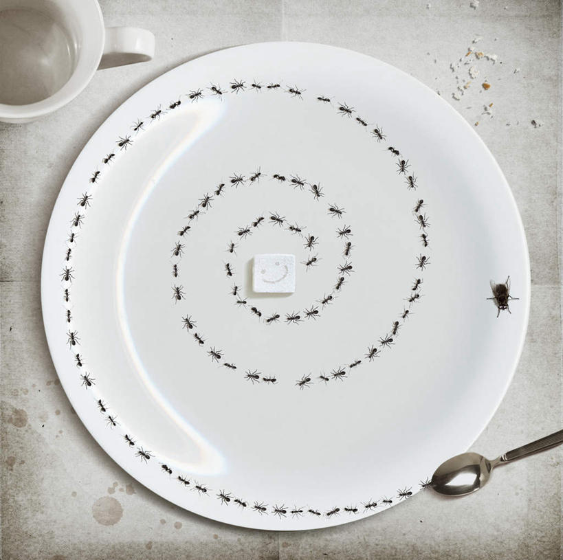 西方人,笑,微笑,横图,室内,白天,正面,蚊子,杯子,餐具,欧洲,欧洲人,细菌,昆虫,蚂蚁,碟子,盘,图案,动物,盘子,碟,汤匙,病菌,螺线,害虫,传染,四害,白种人,寻觅蚊,半身,彩图