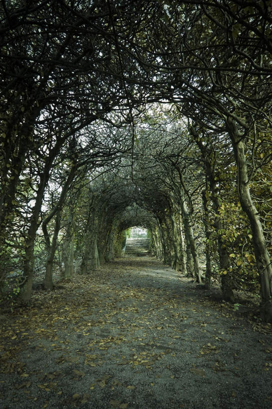 无人,竖图,室外,白天,正面,旅游,度假,美景,秋季,森林,树林,植物,道路,路,叶子,景观,小路,交通,娱乐,树,树木,绿色,自然,享受,休闲,景色,放松,茂密,茂盛,生长,成长,自然风光,叶,叶片,秋,秋天,彩图