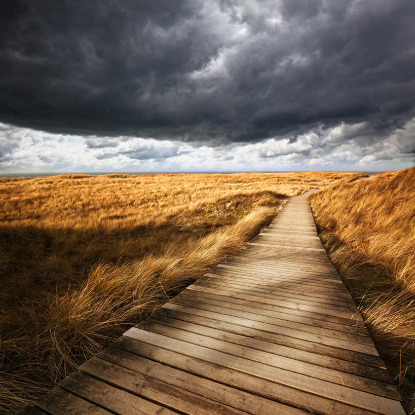 无人,方图,室外,白天,正面,旅游,度假,美景,植物,道路,路,欧洲,荷兰,阴影,枯萎,光线,木板,影子,景观,乌云,云,阴天,云朵,小路,桥,枯草,木桥,交通,云彩,娱乐,栈桥,草,黄色,天空,阳光,自然,天,享受,休闲,景色,放松,人行桥,木板桥,昏暗,阴沉,西欧,自然风光,荷兰王国,尼德兰王国,弗里斯兰,弗里斯兰省,彩图