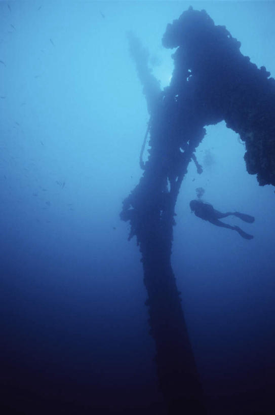 游泳,西方人,一个人,竖图,室外,白天,正面,锻炼,运动,海浪,海洋,欧洲,海地,欧洲人,仅一个男性,仅一个人,阴影,透明,光线,珊瑚,影子,浪花,珊瑚礁,仅一个年轻男性,蓝色,阳光,海水,潜水,北美,北美洲,美洲,海景,海底礁,北亚美利加洲,亚美利加洲,潜水运动,理智,沉静,冷色,高深,冷淡,海地共和国,体育,男人,男性,年轻男性,白种人,大海,风浪,海,海水的波动,礁,近岸浪,岩石,涌浪,半身,彩图,健身