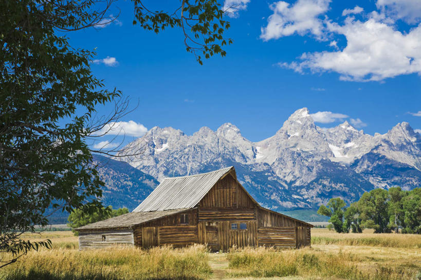 西方人,一个人,高楼大厦,站,摸,横图,室内,白天,正面,植物,大厦,道路,建筑,路,摩天大楼,公路,欧洲,欧洲人,仅一个男性,仅一个人,抚摸,蓝色背景,交通,树,树木,食物,仅一个年轻男性,绿色,自然,模型,站着,摄影,影棚,生长,成长,盖,男人,男性,年轻男性,白种人,马路,触摸,接触,站立,半身,彩图,影棚拍摄,拍摄,大楼,高层建筑,高楼,摩天楼