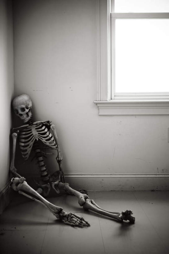 骨骼,无人,竖图,俯视,室内,特写,白天,窗户,静物,玻璃,骷髅,墙,骨头,玻璃窗,墙壁,墙面,玻璃制品,一个,蓝色,蓝天,天空,模型,天,单个,骨架,恐怖,自杀,可怕,自尽,可骇,恐惧,彩图,高角度拍摄