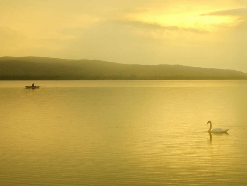 无人,横图,室外,白天,侧面,旅游,度假,河流,美景,山,山脉,水,鸟,野生动物,天鹅,欧洲,匈牙利,阴影,反射,鸟类,影子,河水,景观,山峰,水流,云,云朵,拂晓,黎明,山峦,云彩,娱乐,一只,蓝色,白云,倒影,蓝天,天空,自然,动物,群山,天,享受,休闲,景色,放松,可爱,晴朗,倒映,自然风光,中欧,反照,匈牙利共和国,晴空,鹄,彩图,全身