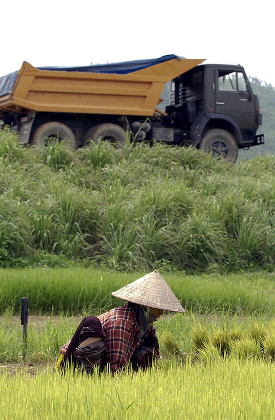 东方人,一个人,农田,蹲,笑,微笑,露齿笑,竖图,室外,白天,侧面,农业,庄稼,农作物,卡车,汽车,帽子,亚洲,仅一个女性,仅一个人,阴影,服装,朦胧,模糊,光线,草帽,影子,稻田,谷物,水稻,注视,休闲装,黄种人,稻,车,衣服,阳光,交通工具,观察,看,仅一个中年女性,休闲,休闲服,服饰,观看,察看,关注,载具,插秧,女人,女性,中年女性,亚洲人,蹲着,半身,彩图,耕地,庄稼田