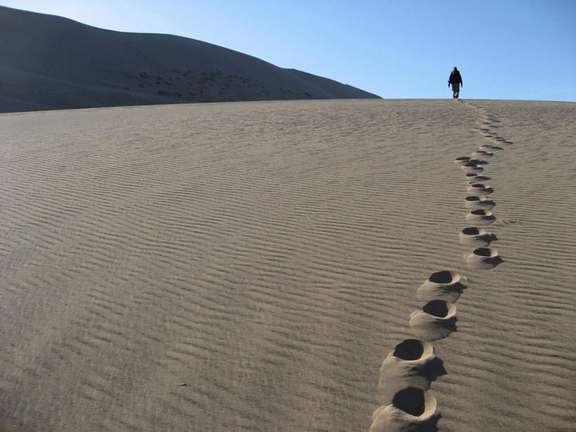 东方人,一个人,走,横图,室外,白天,旅游,度假,探险,沙漠,中国,亚洲,仅一个年轻女性,仅一个女性,仅一个人,脚印,阴影,波纹,光线,影子,黄种人,娱乐,背面,蓝色,蓝天,水纹,天空,阳光,波浪,天,享受,休闲,放松,蒙,晴朗,足迹,东亚,内蒙古,呼和浩特,万里无云,首府,中华人民共和国,华北地区,行踪,脚迹,内蒙古自治区,呼和浩特市,冒险,年轻女性,女人,女性,亚洲人,大漠,砂漠,晴空,晴空万里,步行,散步,走路,彩图,全身