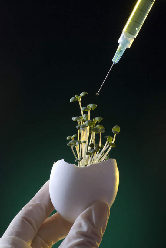 西方人,一个人,举,竖图,室内,特写,白天,正面,安全,欧洲,欧洲人,仅一个男性,仅一个人,握,黑色背景,生气,蛋,蛋壳,鸡蛋,防护,拿,嫩苗,拿着,仅一个年轻男性,手套,托,针管,针筒,活力,握着,注射,摄影,朝气,影棚,生机,希望,保护,医疗,医疗设备,注射器,保险,保全,周全,安稳,安定,防护手套,卵,平安,男人,男性,年轻男性,白种人,举起,举手,举着,向上举,向上伸,向上托,半身,彩图,影棚拍摄,拍摄