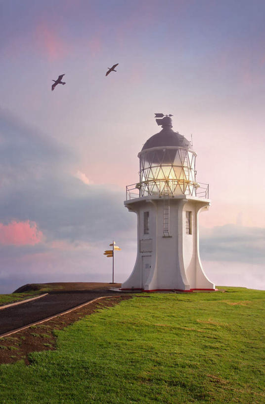 无人,公园,竖图,室外,白天,正面,旅游,度假,草地,草坪,美景,植物,指示牌,鸟,美国,飞翔,伸展,张开,展翅,飞行,翅膀,鸟类,标志,文字,景观,云,云朵,翱翔,云彩,娱乐,标识,飞,草,蓝色,绿色,白云,蓝天,天空,自然,天,两只,享受,休闲,景色,放松,晴朗,北美,北美洲,自然风光,美洲,张开翅膀,北亚美利加洲,亚美利加洲,康涅狄格,康涅狄格州,宪法之州,豆蔻之州,灯塔公园,展开翅膀,晴空,彩图,全身