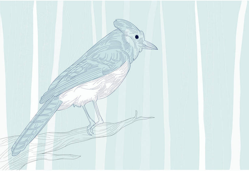 无人,站,横图,插画,室内,白天,侧面,数码,科技,美景,树林,植物,鸟,阴影,网络,鸟类,景观,冬季,冬天,枝条,高光,几何,计算机图形,合成,图画,注视,画,树,树木,树枝,一只,绿色,自然,观察,看,站着,景色,白桦,生长,成长,观看,电脑合成图,数码合成图,察看,合成图,关注,自然风光,漫画,松鸦,写实,具体,具象,北美蓝鸟,冠蓝鸦,蓝樫鸟,蓝松鸦,冬日,虬枝,枝杈,橿鸟,蓝鸦,桦树,桦皮树,桦木,站立,彩图,全身