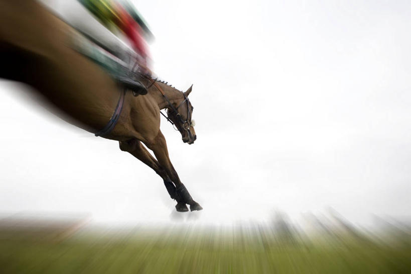 西方人,一个人,坐,横图,室外,白天,仰视,西装,草地,草坪,植物,马,野生动物,欧洲,欧洲人,仅一个男性,仅一个人,骑马,握,阴影,套装,正装,朦胧,模糊,光线,影子,职业装,一匹,草,仅一个年轻男性,蓝色,绿色,蓝天,天空,阳光,动物,天,握着,运输,牲畜,晴朗,骑马装,万里无云,男人,男性,年轻男性,白种人,晴空,晴空万里,坐着,半身,彩图,低角度拍摄,马术服,骑马服,策骑者,骑师,赛马骑师