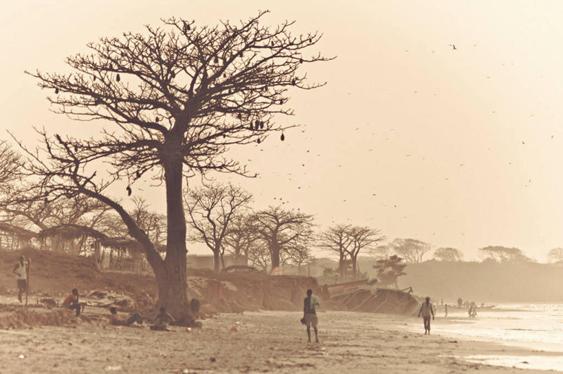 西方人,站,坐,横图,室外,白天,正面,旅游,度假,海浪,海洋,美景,沙滩,鸟,欧洲,非洲,冈比亚,黑人,欧洲人,许多,行人,吊挂,飞翔,伸展,悬挂,张开,展翅,阴影,服装,飞行,光线,翅膀,鸟类,沙子,影子,海岸,景观,浪花,枝条,沙地,很多,许多人,翱翔,挂,休闲装,娱乐,飞,路人,树枝,衣服,天空,阳光,自然,海水,天,站着,一群人,享受,休闲,休闲服,景色,放松,服饰,自然风光,海景,张开翅膀,阿非利加洲,西非,虬枝,枝杈,展开翅膀,过客,冈比亚共和国,男人,男性,年轻男性,年轻女性,女人,女性,非洲人,大海,风浪,海,海水的波动,海滩,近岸浪,涌浪,站立,坐着,彩图,全身