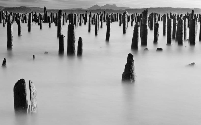 无人,横图,黑白,室外,白天,正面,旅游,度假,美景,山,山脉,雾,美国,许多,朦胧,模糊,高地,景观,山峰,云,云朵,树桩,山峦,云彩,娱乐,树,树干,蓝色,白云,蓝天,天空,自然,群山,天,享受,休闲,木桩,景色,放松,晴朗,迷雾,北美,北美洲,自然风光,美洲,河谷,俄勒冈州,哥伦比亚河谷,俄勒冈,北亚美利加洲,亚美利加洲,落日之州,水獭之州,海狸州,哥伦比亚谷,哥伦比亚山谷,大雾,晴空,美利坚合众国