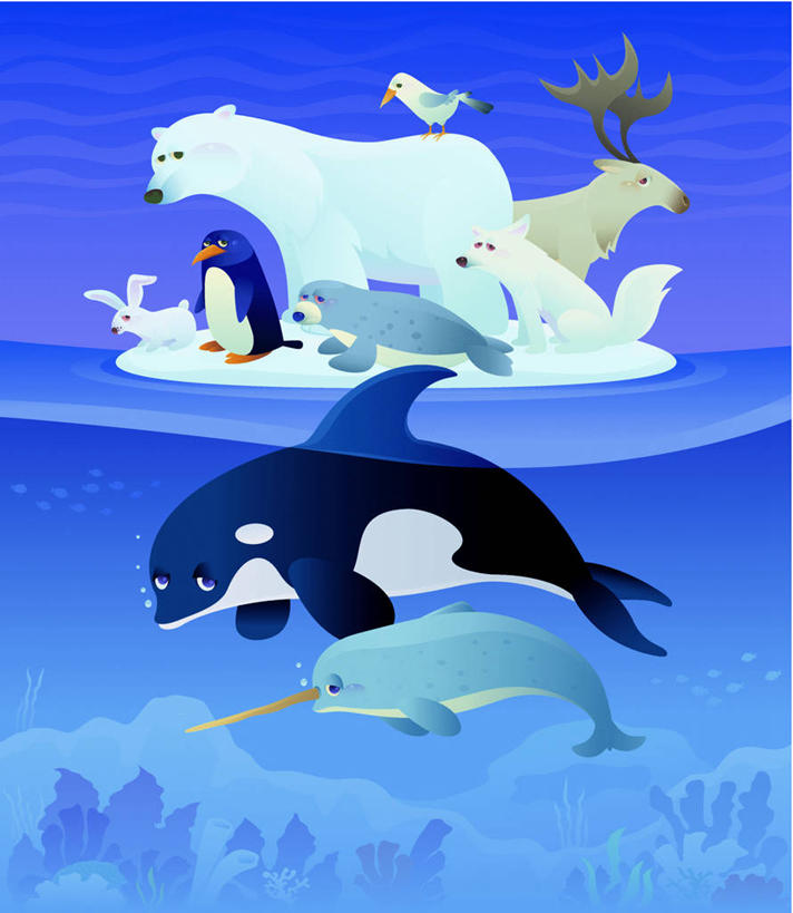 游泳,无人,站,竖图,插画,室内,白天,正面,幸福,数码,科技,海浪,海洋,哺乳动物,海鸟,海鸥,狐狸,鲸鱼,鹿,鸟,野生动物,圣诞节,飞翔,切开,伸展,张开,展翅,阴影,节日,庆祝,飞行,光线,网络,翅膀,虎鲸,鸟类,杀人鲸,影子,冰,浪花,高光,几何,计算机图形,翱翔,合成,图画,注视,文化,飞,海洋生物,画,蓝色,蓝天,天空,阳光,海水,动物,浮冰,天,观察,看,切,站着,庆典,寒冷,可爱,活泼,鲸,晴朗,观看,纪念,吉祥,电脑合成图,数码合成图,察看,冰冷,合成图,关注,北极狐,水生动物,水生物,狡猾,凶猛,漫画,剖面,海景,海底动物,切面,张开翅膀,逆戟鲸,万里无云,写实,具体,具象,进取,角鹿,严寒,冰凉,酷寒,凛冽,凛凛,极冷,流冰,浮冰块,泅水,狡诈,鲸类,展开翅膀,拍浮,残暴,凶残,大海,风浪,海,海水的波动,近岸浪,涌浪,晴空,晴空万里,驯鹿,站立,彩图,全身