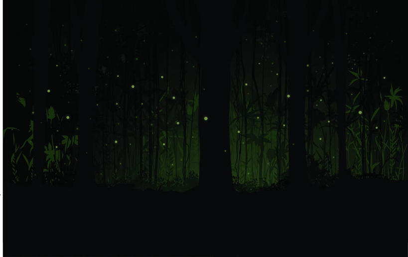 无人,横图,插画,室内,夜晚,正面,数码,科技,森林,树林,植物,雾,阴影,节日,朦胧,模糊,庆祝,网络,昆虫,树桩,甲壳虫,高光,几何,计算机图形,合成,图画,文化,画,树,树干,树木,绿色,自然,动物,庆典,木桩,万圣节,夜光,生长,成长,纪念,电脑合成图,数码合成图,迷雾,合成图,景天,甲虫,漫画,益虫,萤火虫,写实,具体,具象,流萤,如熠燿,宵烛,耀夜,夜照,大雾,彩图,全身