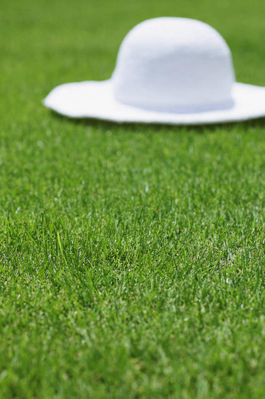 无人,竖图,室外,特写,白天,正面,草地,草坪,植物,帽子,阴影,光线,影子,草,绿色,白色,阳光,遮阳帽,一顶,彩图