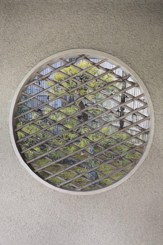 无人,竖图,室内,白天,正面,植物,窗户,圆形,图形,圆,墙,几何,玻璃窗,墙壁,墙面,树,树木,绿色,自然,生长,成长,数学,彩图,几何图形,平面图形