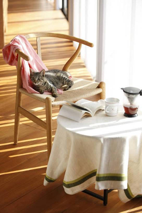 咖啡,无人,坐,竖图,俯视,室内,白天,幸福,餐桌,地板,桌子,宠物,猫,书籍,椅子,阴影,光线,布料,壶,影子,木椅,咖啡壶,地面,布纹,注视,娱乐,木地板,桌布,饮料,一只,阳光,动物,餐巾,容器,书本,台布,观察,看,享受,休闲,温馨,放松,可爱,乐趣,餐台,观看,察看,提神,舒适,关注,醒脑,猫咪,软饮料,书,图书,餐桌布,坐着,彩图,高角度拍摄,全身