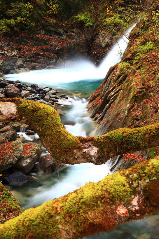 无人,竖图,俯视,室外,白天,旅游,度假,石头,美景,瀑布,水,叶子,飞溅,溅,石子,液体,景观,水滴,悬崖,青苔,绿叶,苔藓,娱乐,水珠,自然,享受,休闲,嫩叶,景色,放松,喷洒,自然风光,绝壁,叶,叶片,跌水,石块,岩石,彩图,高角度拍摄