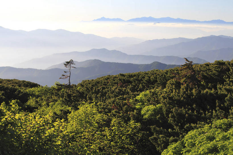 无人,横图,室外,白天,正面,旅游,度假,美景,森林,山,山脉,树林,植物,雾,长野县,日本,亚洲,阴影,朦胧,模糊,光线,影子,景观,山峰,云,云朵,山峦,云彩,娱乐,树,树木,蓝色,绿色,白云,蓝天,天空,阳光,自然,群山,天,享受,休闲,景色,放松,生长,晴朗,成长,迷雾,自然风光,东亚,本州,本州岛,日本国,中部地方,岐阜,岐阜县,长野,乘鞍高原,大雾,晴空,彩图