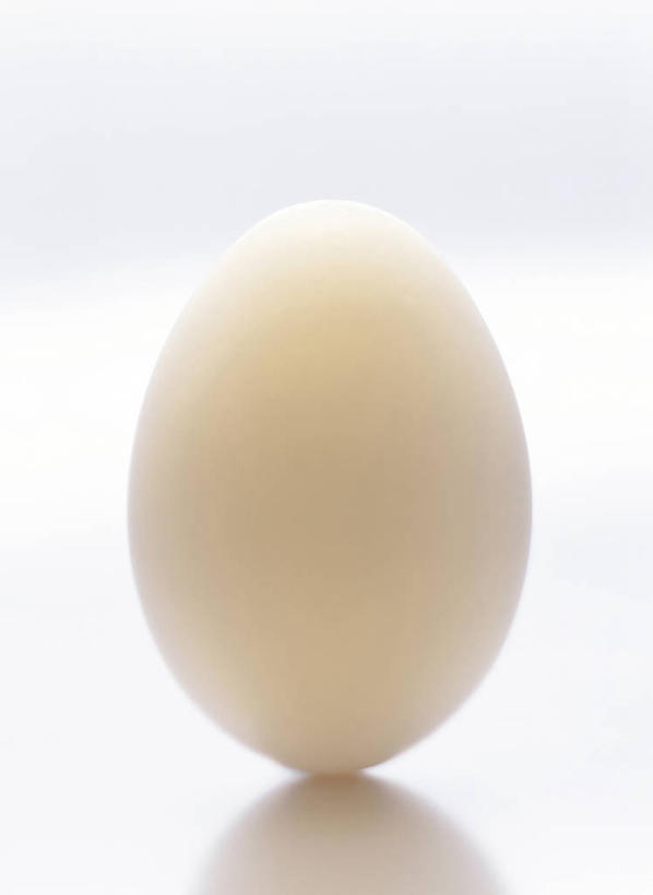 无人,竖图,室内,特写,白天,白色背景,正面,阴影,反射,影子,蛋,鸡蛋,一个,白色,摄影,影棚,单个,卵,彩图,影棚拍摄,拍摄,鸡卵,鸡子