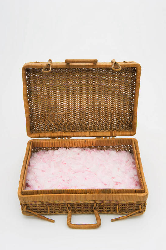 无人,交叉,竖图,室内,白天,白色背景,正面,幸福,纯洁,樱花,竹子,一堆,许多,阴影,堆叠,堆积,竹制,盛开,编织,反射,篮子,影子,很多,花蕾,花,花瓣,花朵,鲜花,一个,粉色,竹篮,花苞,花蕊,摄影,影棚,单个,等待,竹条,堆,交织,竹制品,生命,仙樱花,福岛樱,青肤樱,高尚,热烈,穿插,荆桃,彩图,影棚拍摄,拍摄