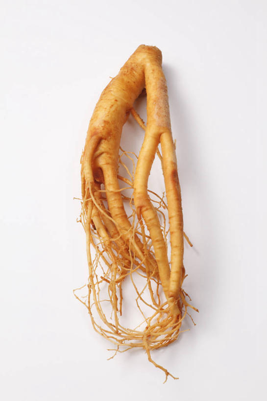 无人,竖图,俯视,室内,特写,白天,白色背景,植物,人参,草药,药草,中药,一个,摄影,影棚,单个,药材,中草药,中药材,本草,百尺杵,海腴,皱面还丹,人衔,参,彩图,高角度拍摄,影棚拍摄,拍摄