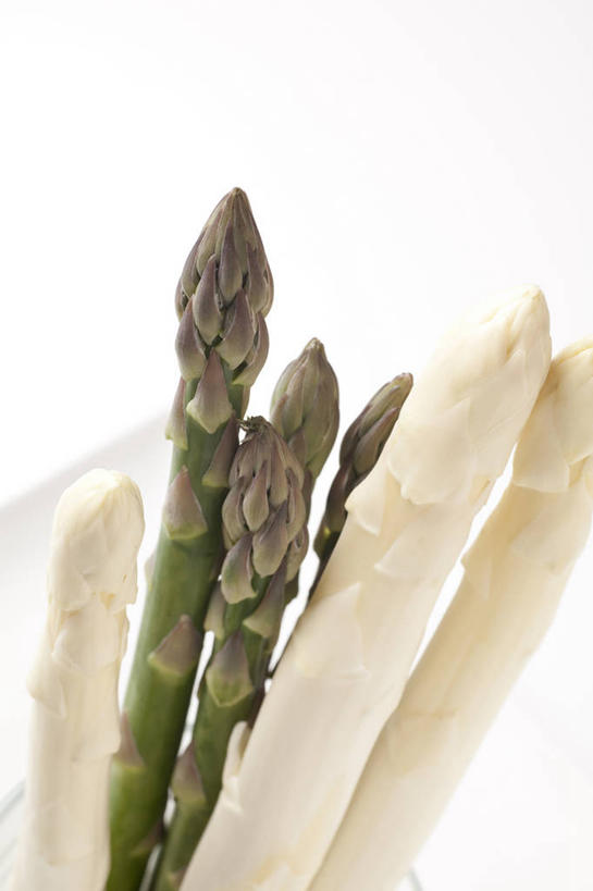 无人,竖图,室内,特写,白天,白色背景,正面,芦笋,蔬菜,许多,新鲜,白芦笋,绿芦笋,食品,很多,食物,摄影,有机食品,绿色食品,影棚,猪尾巴,药鸡豆子,石刁柏,蚂蚁杆,龙须菜,狼尾巴根,彩图,影棚拍摄,拍摄