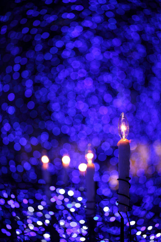 无人,竖图,室外,特写,夜晚,正面,照明,阴影,朦胧,模糊,透明,光线,彩灯,影子,灯光,灯,蓝色,灯具,花灯,照亮,照明设备,理智,沉静,冷色,高深,冷淡,彩图