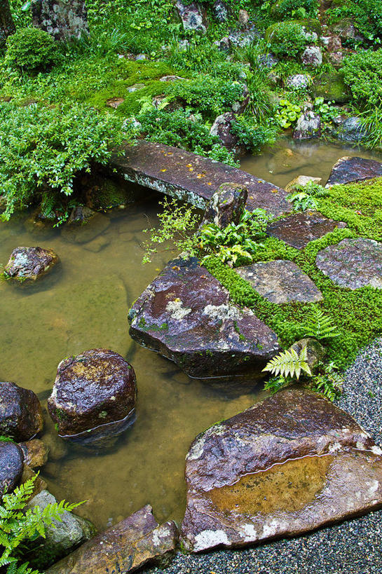 无人,竖图,俯视,室外,白天,旅游,度假,河流,石头,美景,树林,水,植物,日本,亚洲,阴影,光线,石子,影子,河水,景观,水流,娱乐,树,树木,绿色,阳光,自然,享受,休闲,景色,放松,生长,成长,自然风光,东亚,本州,本州岛,日本国,中部地方,岐阜,岐阜县,石块,岩石,彩图,高角度拍摄,高山市
