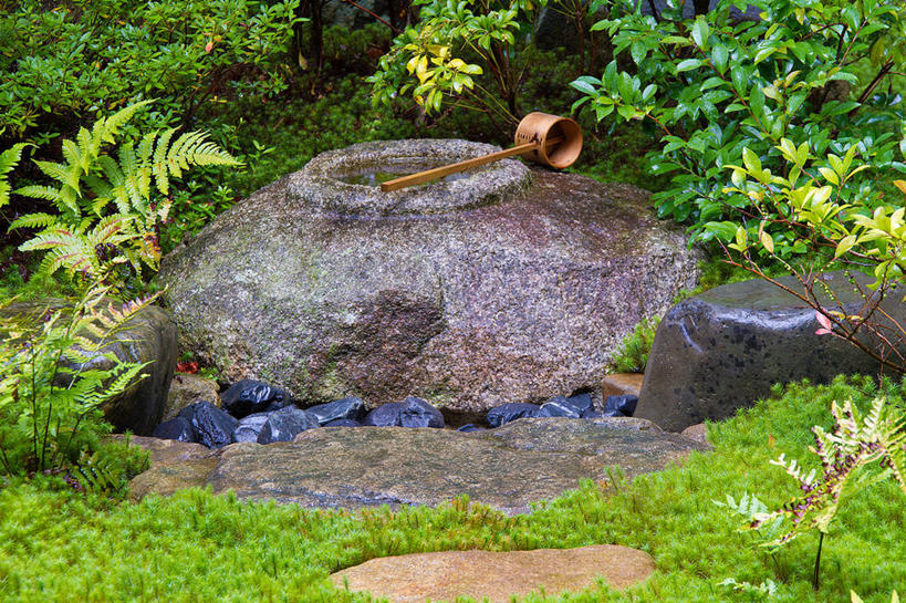 无人,横图,俯视,室外,白天,旅游,度假,草地,草坪,美景,植物,日本,亚洲,阴影,日本文化,光线,影子,勺子,庭院,景观,院子,茶道,文化,娱乐,草,树,树木,绿色,阳光,自然,调羹,汤匙,享受,休闲,景色,放松,生长,成长,园林,蕨类,茶艺,环境,蕨类植物,自然风光,东亚,东亚文化,本州,本州岛,日本国,中部地方,岐阜,岐阜县,礼法,修行,彩图,高角度拍摄,茶庭,露地,高山市,茶文化