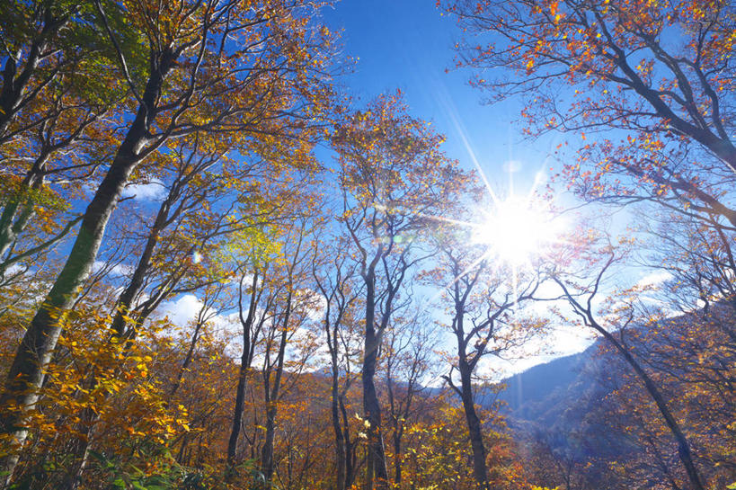 无人,横图,室外,白天,仰视,旅游,度假,美景,日本,亚洲,景观,娱乐,自然,享受,休闲,景色,放松,自然风光,东亚,本州,本州岛,日本国,青森,青森县,东北地方,彩图,低角度拍摄,八甲田山